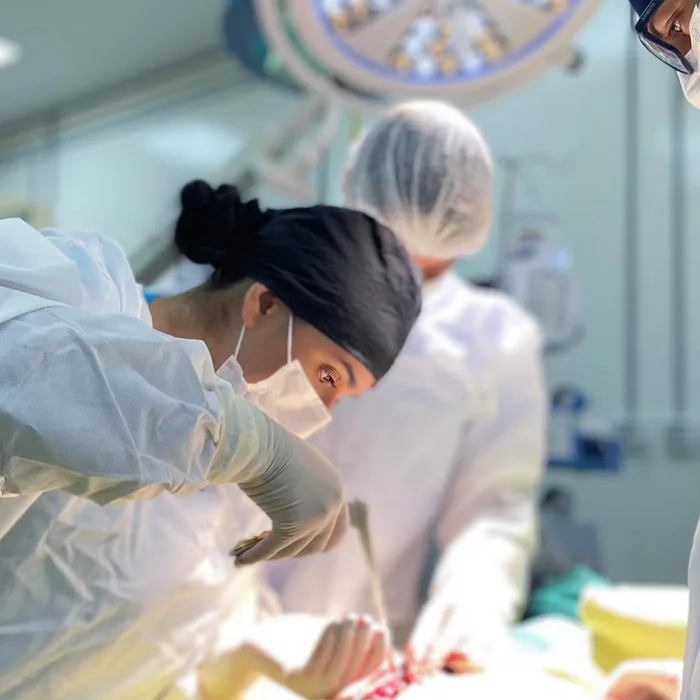 Equipe veterinária trabalhando em ambiente cirúrgico